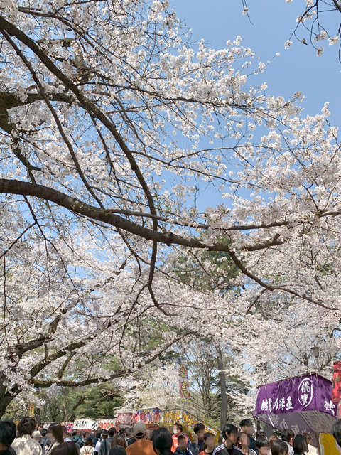大宮公園