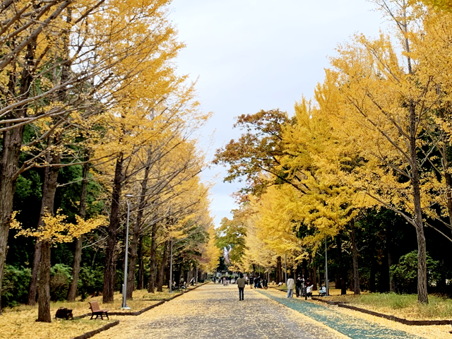 所沢航空記念公園